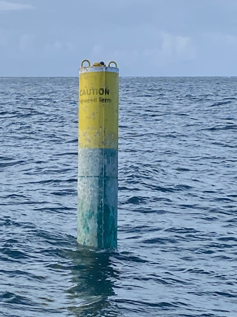 Buoy